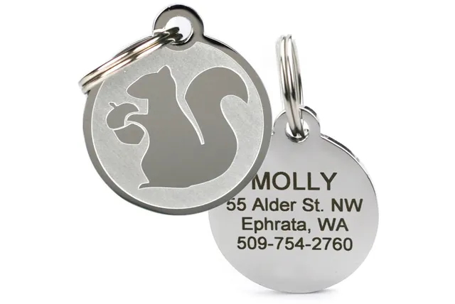 gotags-squirrel-pet-id-tag-in-stainless-steel-engraved-single-sided image 1