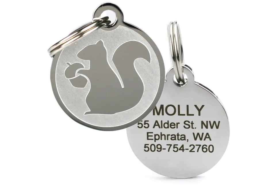 gotags-squirrel-pet-id-tag-in-stainless-steel-engraved-single-sided image 1