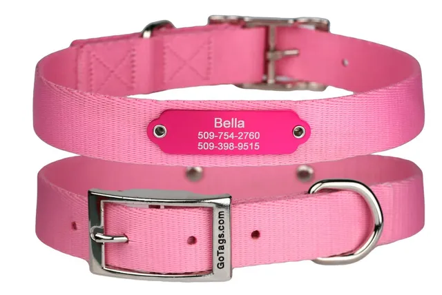 gotags-dog-collar-with-personalized-rivet-on-nameplate-silent-id image 1