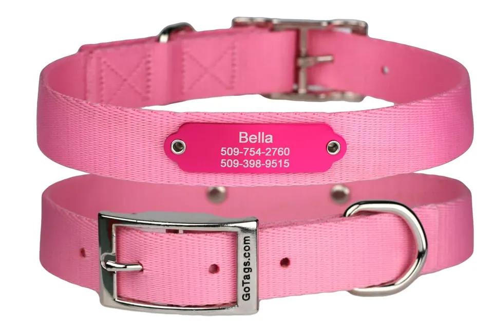 gotags-dog-collar-with-personalized-rivet-on-nameplate-silent-id image 1
