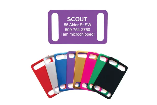 gotags-silent-slide-on-pet-id-tag-for-buckle-collars-lightweight-aluminum-custom image 1