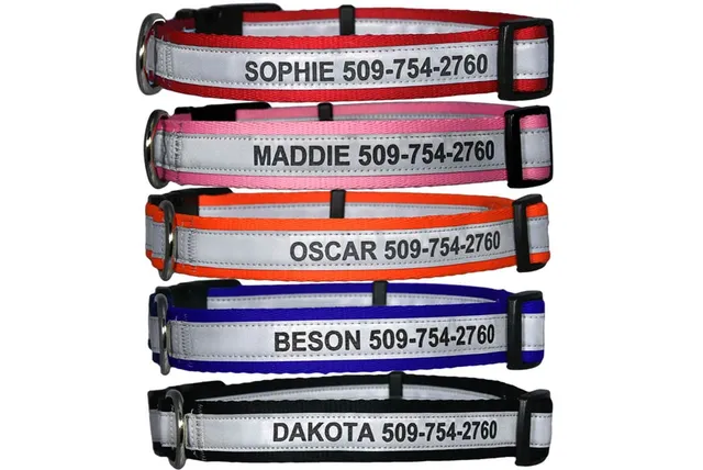 gotags-personalized-engraved-reflective-dog-collar-with-quick-release-buckle-adj image 1