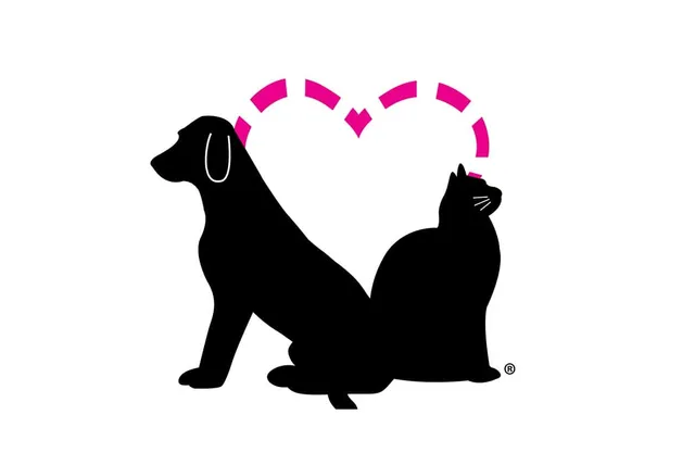gotags-save-this-life-tags-custom-admin-tag-order-minimum-25 image 1