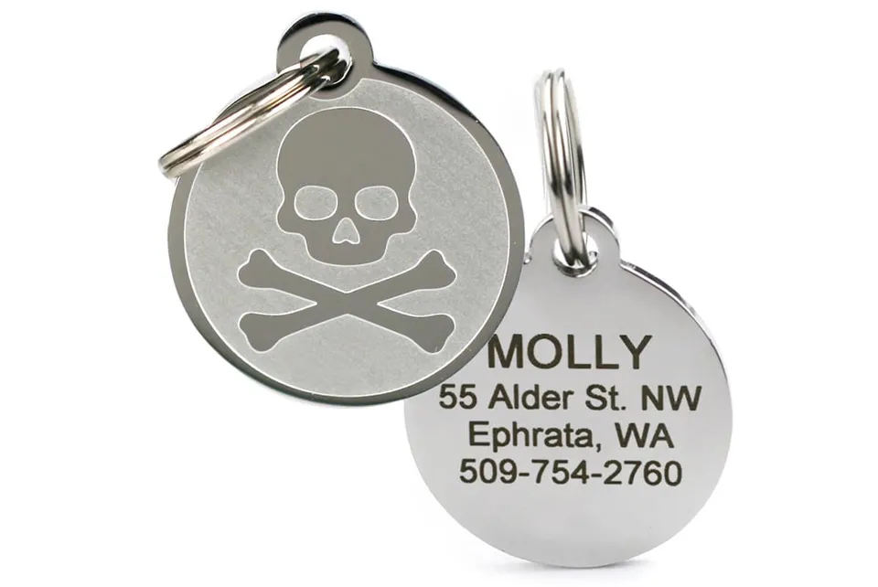 gotags-skull-dog-tag-in-stainless-steel-personalized-round-pet-tag image 1