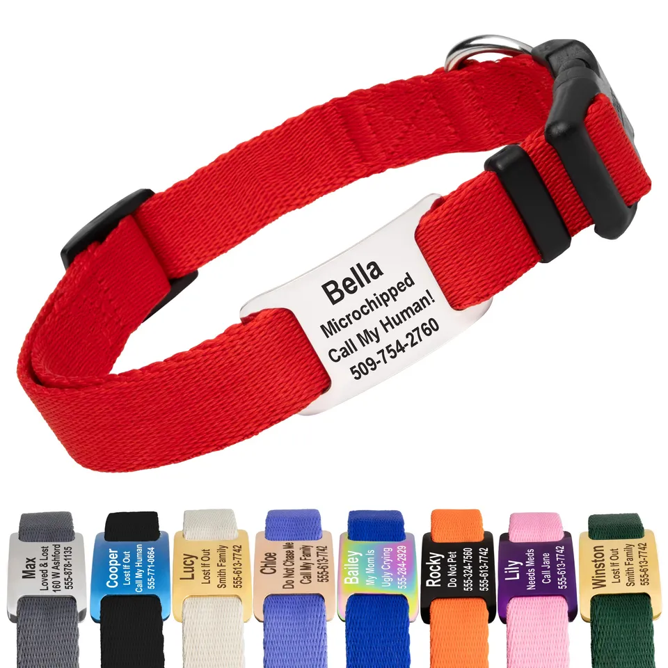 gotags-adjustable-dog-collar-with-personalized-slide-on-nameplate-in-stainless-s image 1