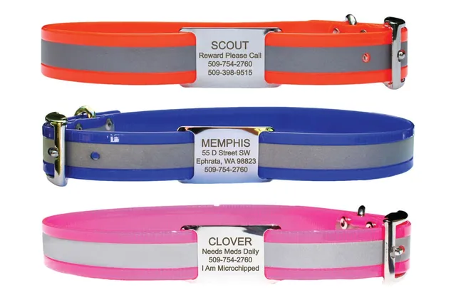 gotags-reflective-waterproof-dog-collar-with-slide-on-nameplate-personalized image 1