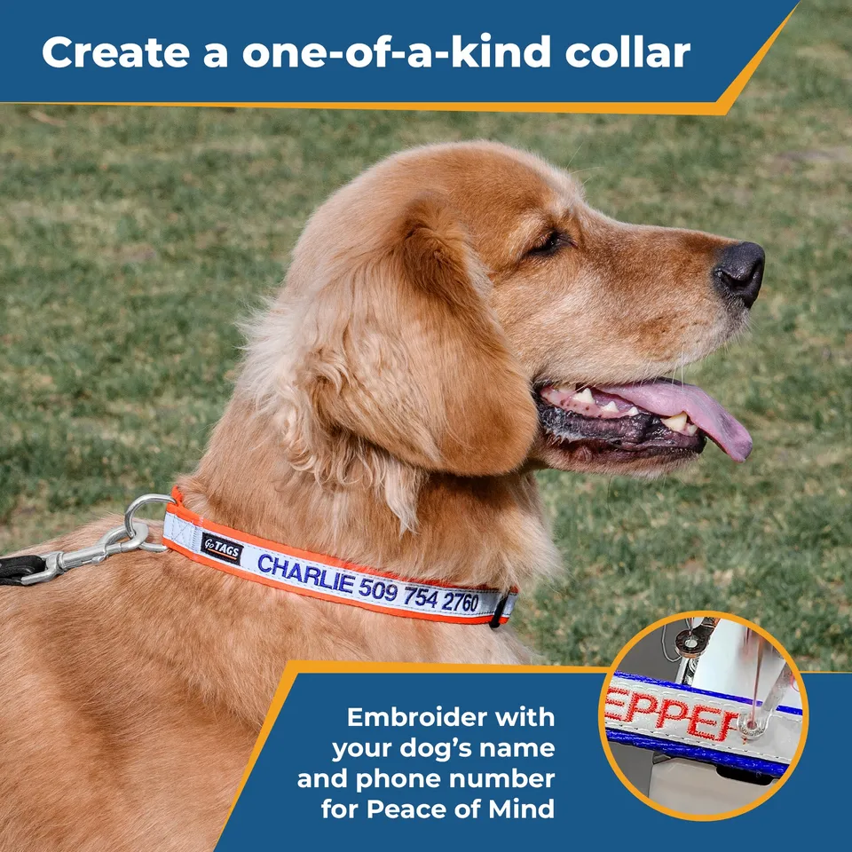 gotags-personalized-reflective-dog-collar-with-quick-release-buckle-embroidered image 1