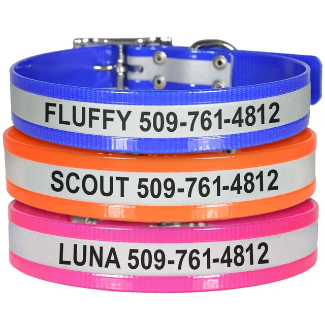 gotags-personalized-reflective-waterproof-dog-collar image 1