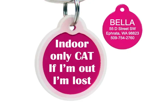 gotags-indoor-cat-id-tag-with-silencer-aluminum-glow-in-the-dark image 1