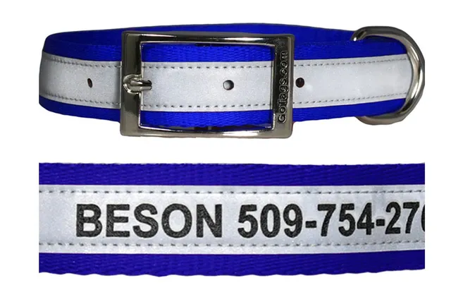gotags-personalized-engraved-reflective-dog-collar-with-metal-buckle image 1