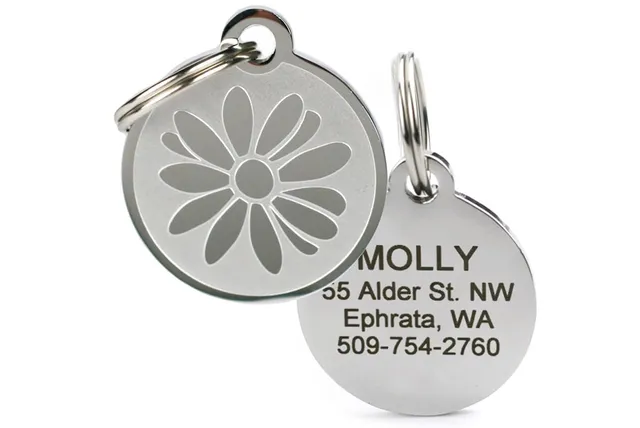 gotags-daisy-flower-stainless-steel-pet-id-tag-personalized-engraved-durable image 1