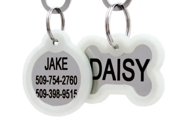 gotags-stainless-steel-pet-id-tags-with-glow-in-the-dark-tag-silencer-engraved-4 image 1