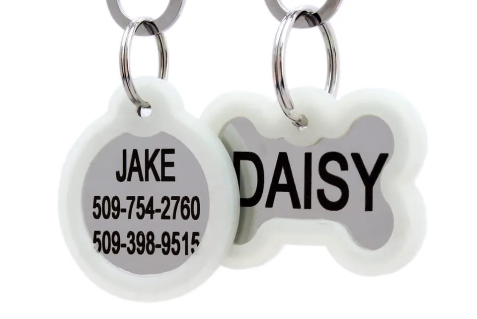 gotags-stainless-steel-pet-id-tags-with-glow-in-the-dark-tag-silencer-engraved-4 image 1