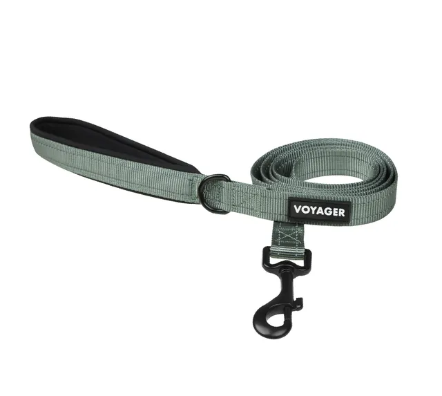 voyager-reflective-dog-leash-for-safer-night-walks image 1