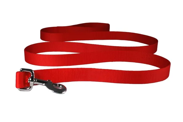 gotags-6-foot-nylon-dog-leash image 1