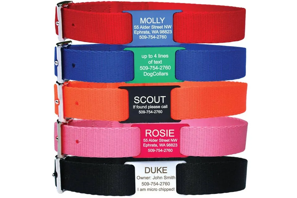 gotags-personalized-slide-on-nameplate-dog-collar image 1