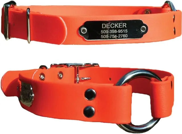 gotags-waterproof-hunting-dog-collar-with-nameplate-biothane-neon image 1
