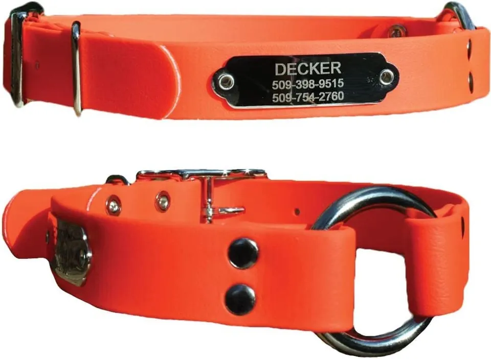 gotags-waterproof-hunting-dog-collar-with-nameplate-biothane-neon image 1