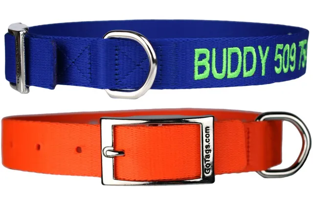 gotags-personalized-embroidered-dog-collar-with-metal-buckle-nylon-machine-washa image 1