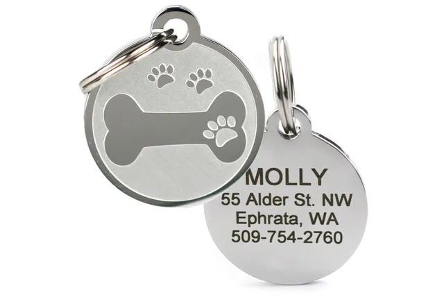 gotags-bone-and-paw-print-dog-tag-in-stainless-steel image 1