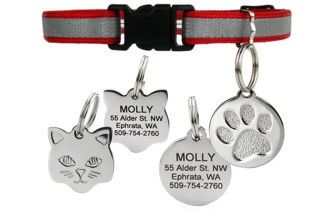 gotags-reflective-cat-collar-with-stainless-steel-id-tag-breakaway-buckle image 1