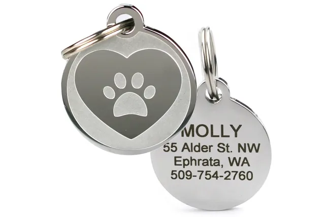 gotags-heart-with-paw-print-pet-id-tag-in-stainless-steel-personalized-laser-eng image 1