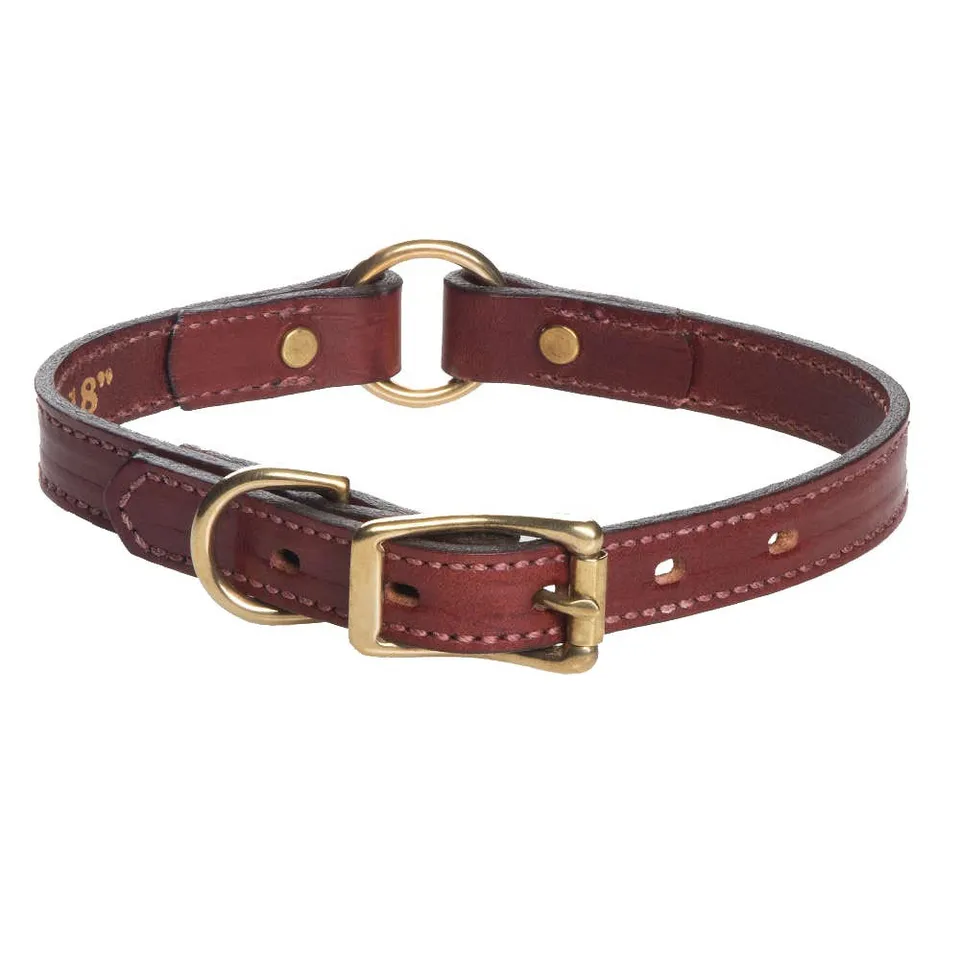 mendota-pet-leather-hunt-collar-chestnut-3-4-1-widths image 1