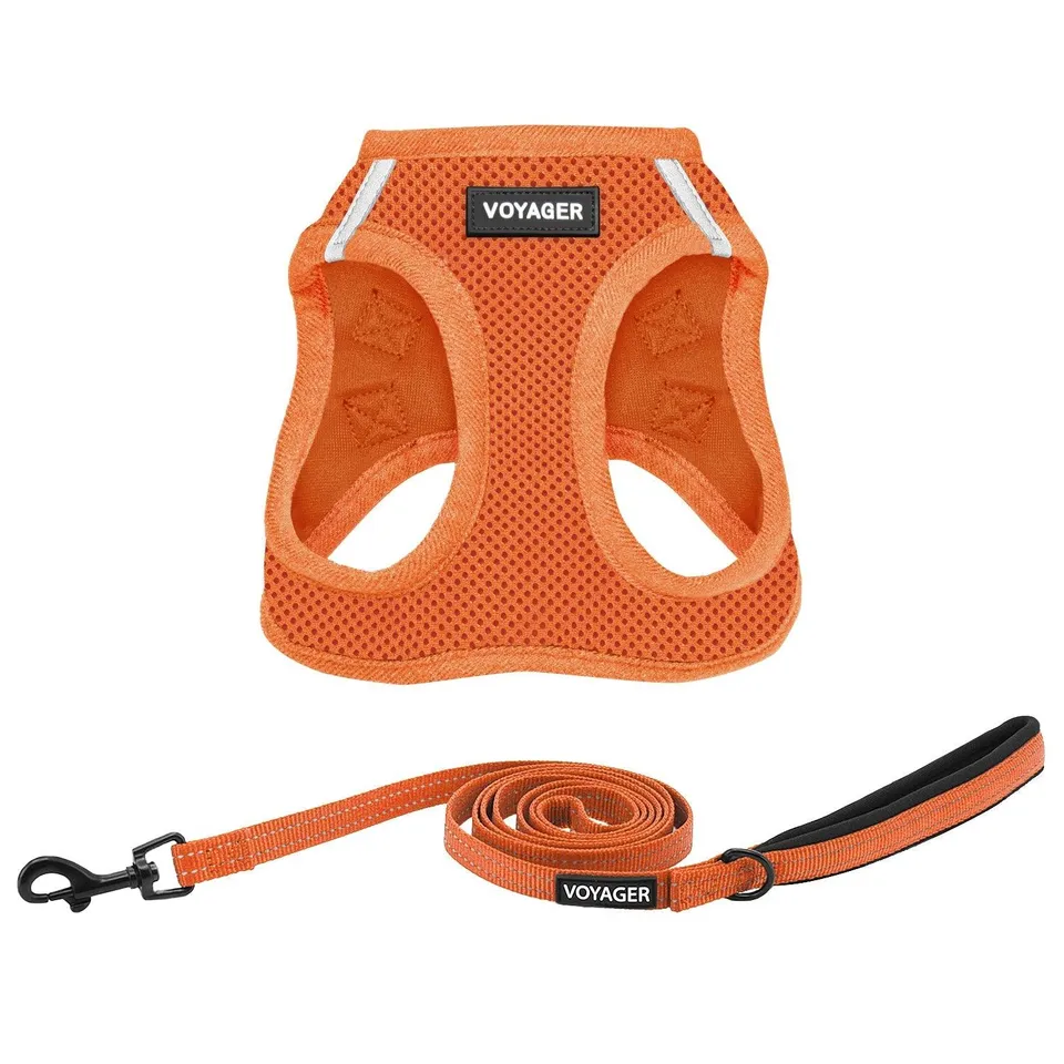 voyager-step-in-mesh-harness-leash-set-for-cats image 1
