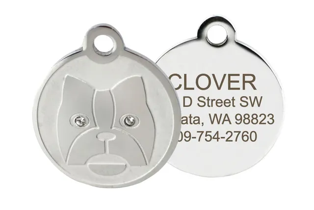 gotags-crystal-dog-id-tag-in-stainless-steel image 1