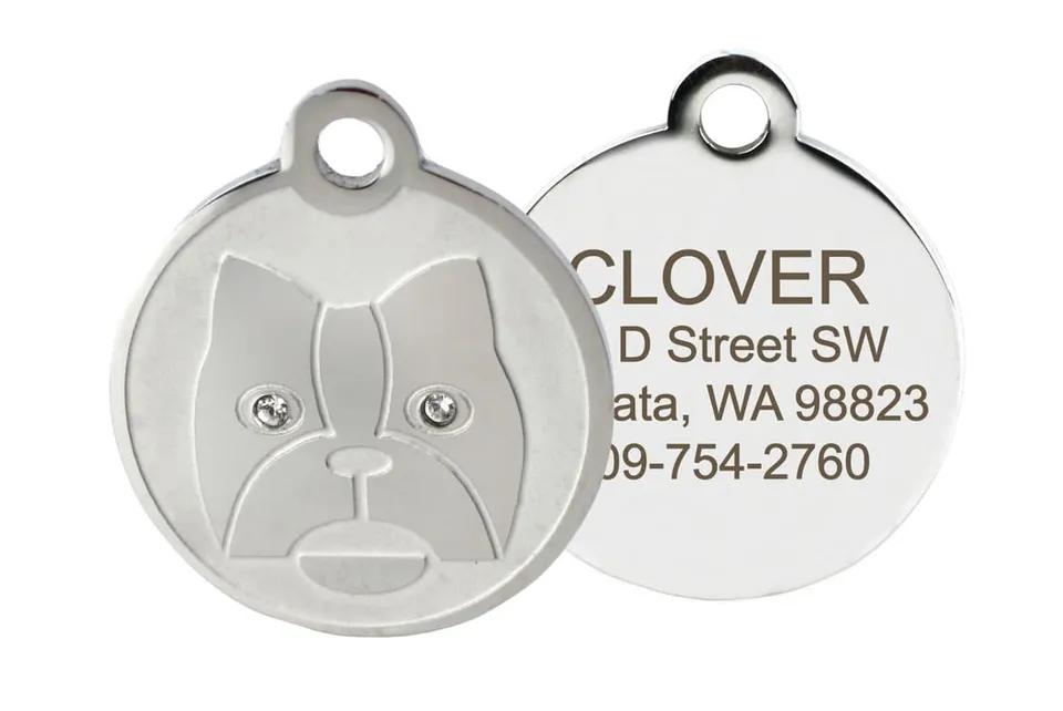 gotags-crystal-dog-id-tag-in-stainless-steel image 1