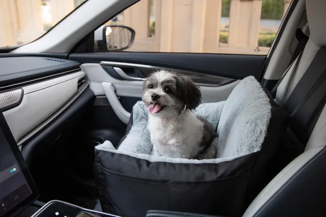 voyager-dog-car-seat-for-small-dogs-and-cats-up-to-20-lbs image 1