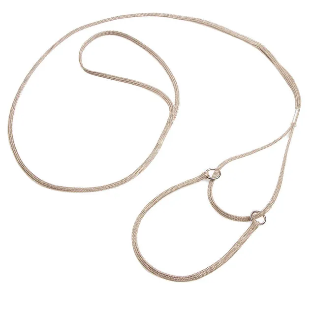 mendota-pet-petite-martingale-lead-nylon-48-training-leash-collar-combo image 1
