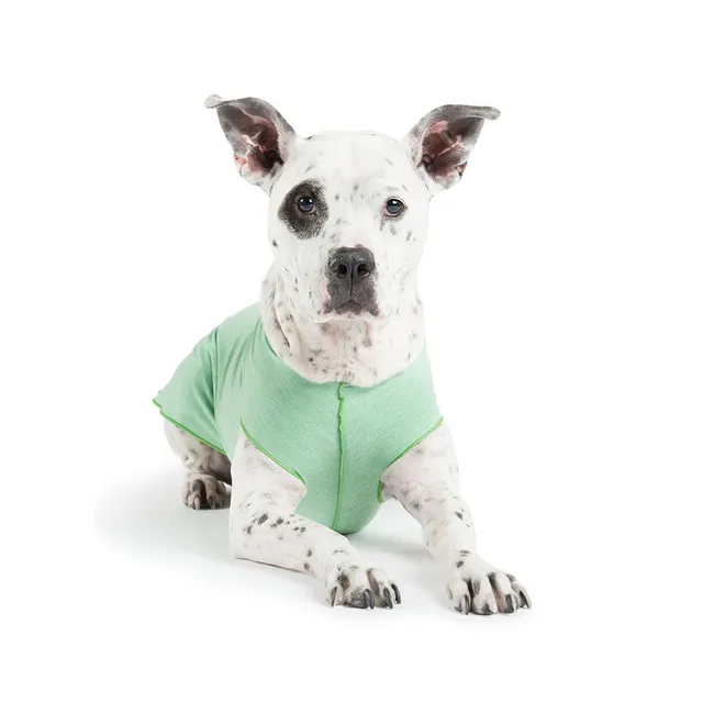 mendota-pet-sun-shield-tee-upf-50-uv-blocking-dog-shirt image 1