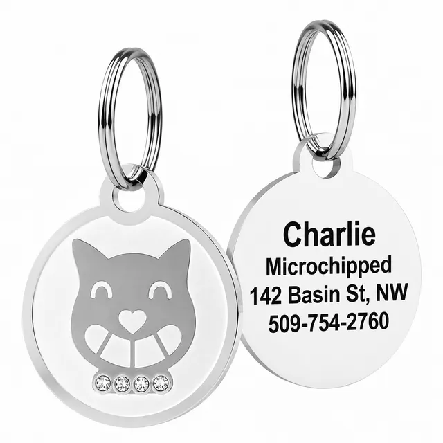 gotags-swarovski-crystal-embossed-pet-id-tag-personalized-stainless-steel-6-desi image 1