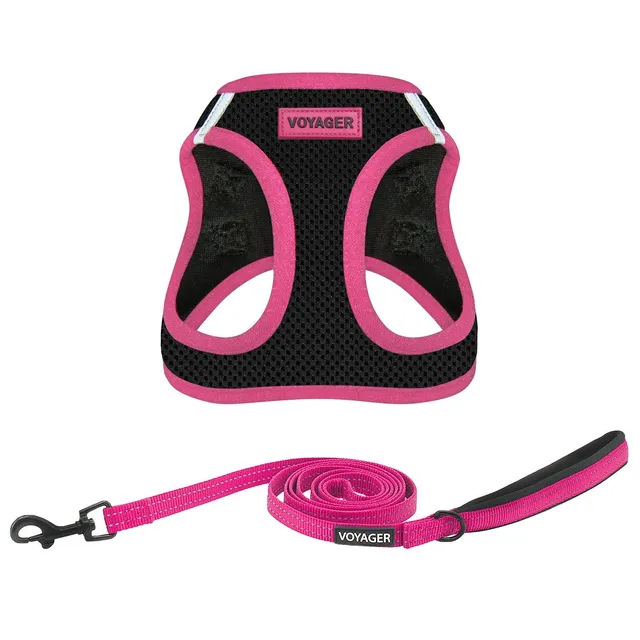 voyager-step-in-air-mesh-harness-leash-set image 1