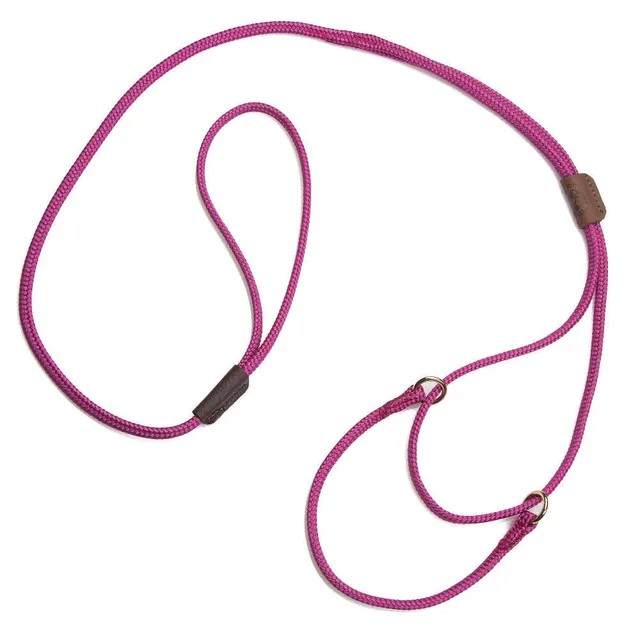 mendota-pet-martingale-show-leash-soft-diamond-braid-with-leather-slide image 1