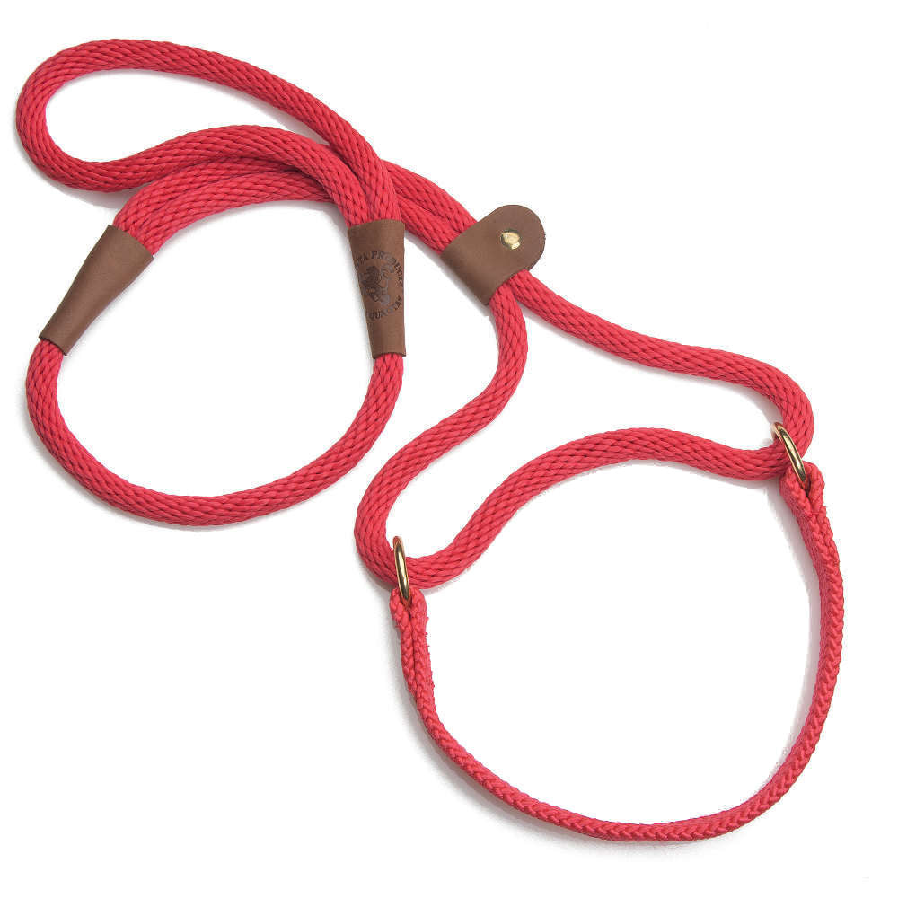mendota-pet-dog-walker-large-1-2-inch-martingale-style-leash-and-collar-combo image 3