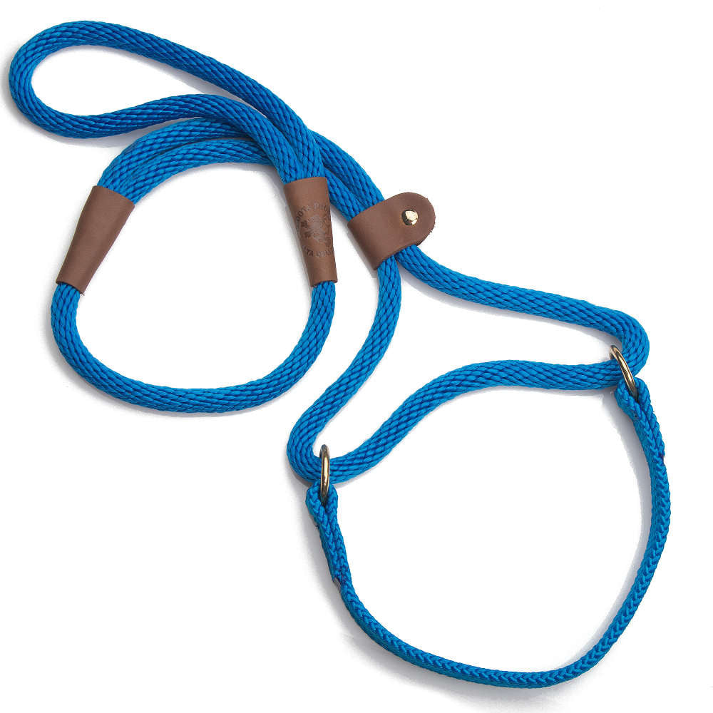 mendota-pet-dog-walker-large-1-2-inch-martingale-style-leash-and-collar-combo image 4