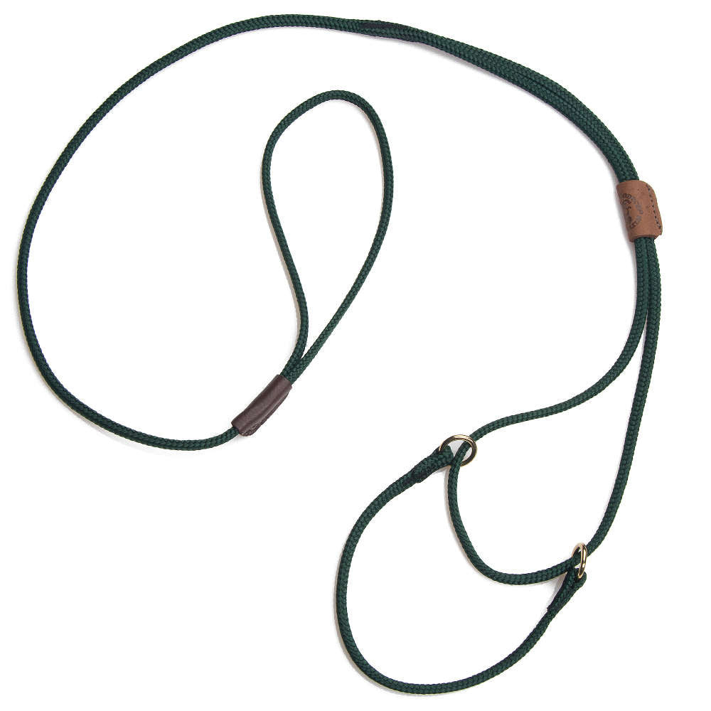 mendota-pet-martingale-show-leash-soft-diamond-braid-with-leather-slide image 5