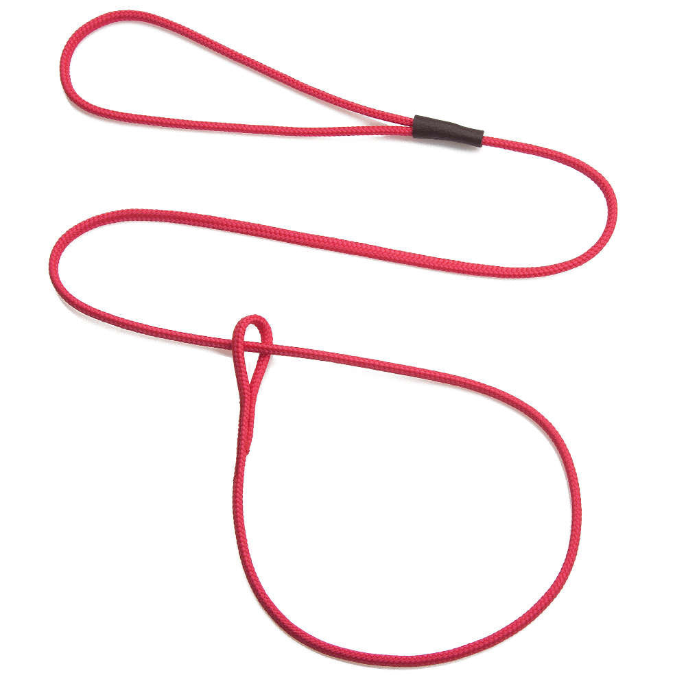mendota-pet-show-loop-leash image 1