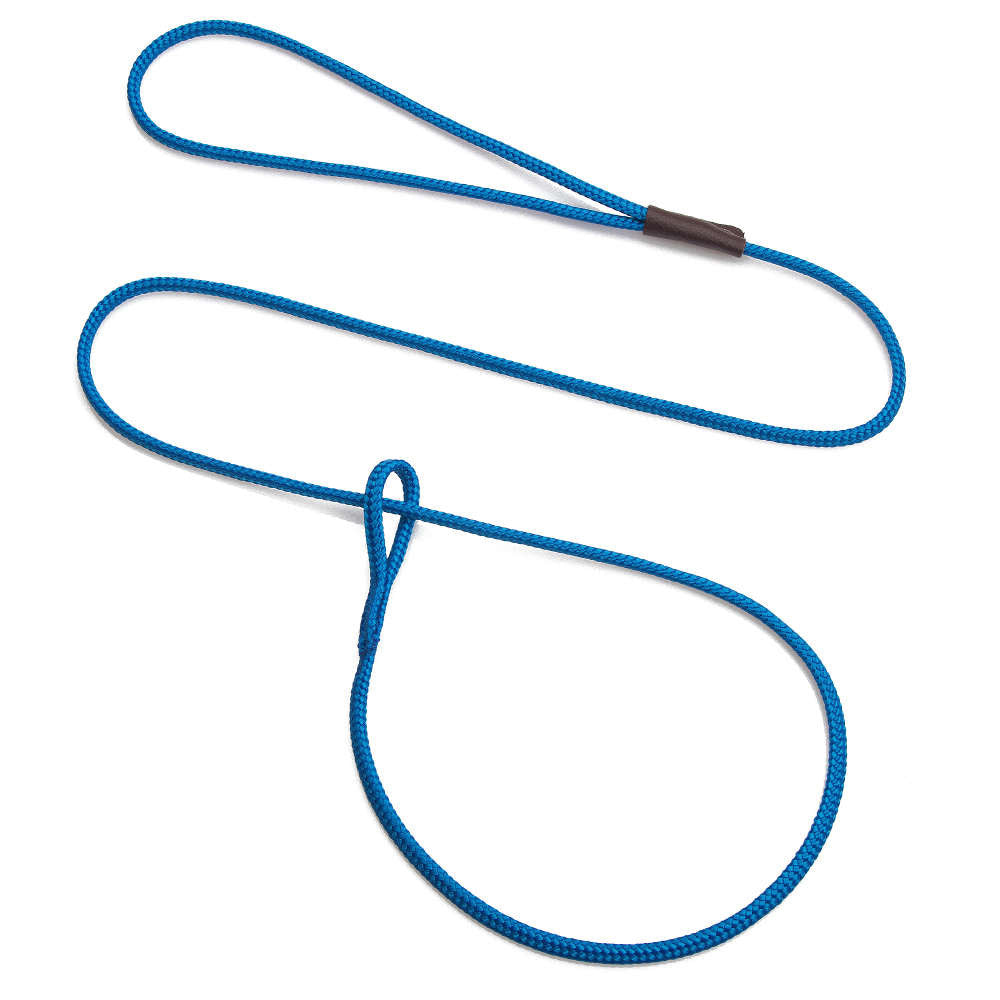 mendota-pet-show-loop-leash image 2