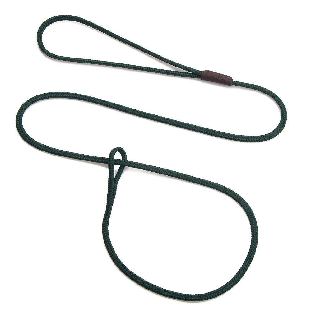 mendota-pet-show-loop-leash image 4
