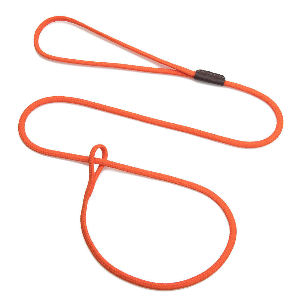 mendota-pet-show-loop-leash image 6