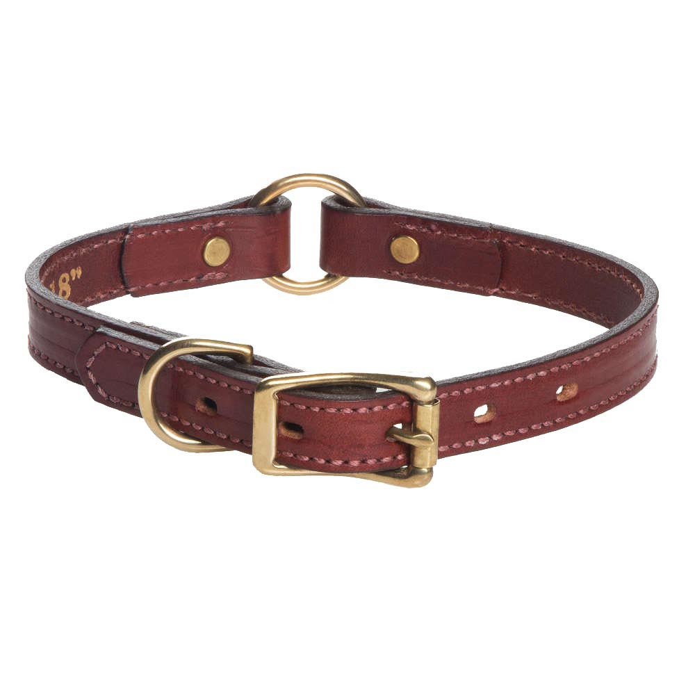 mendota-pet-leather-hunt-collar-chestnut-3-4-1-widths image 1