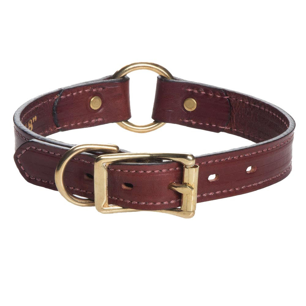 mendota-pet-leather-hunt-collar-chestnut-3-4-1-widths image 2
