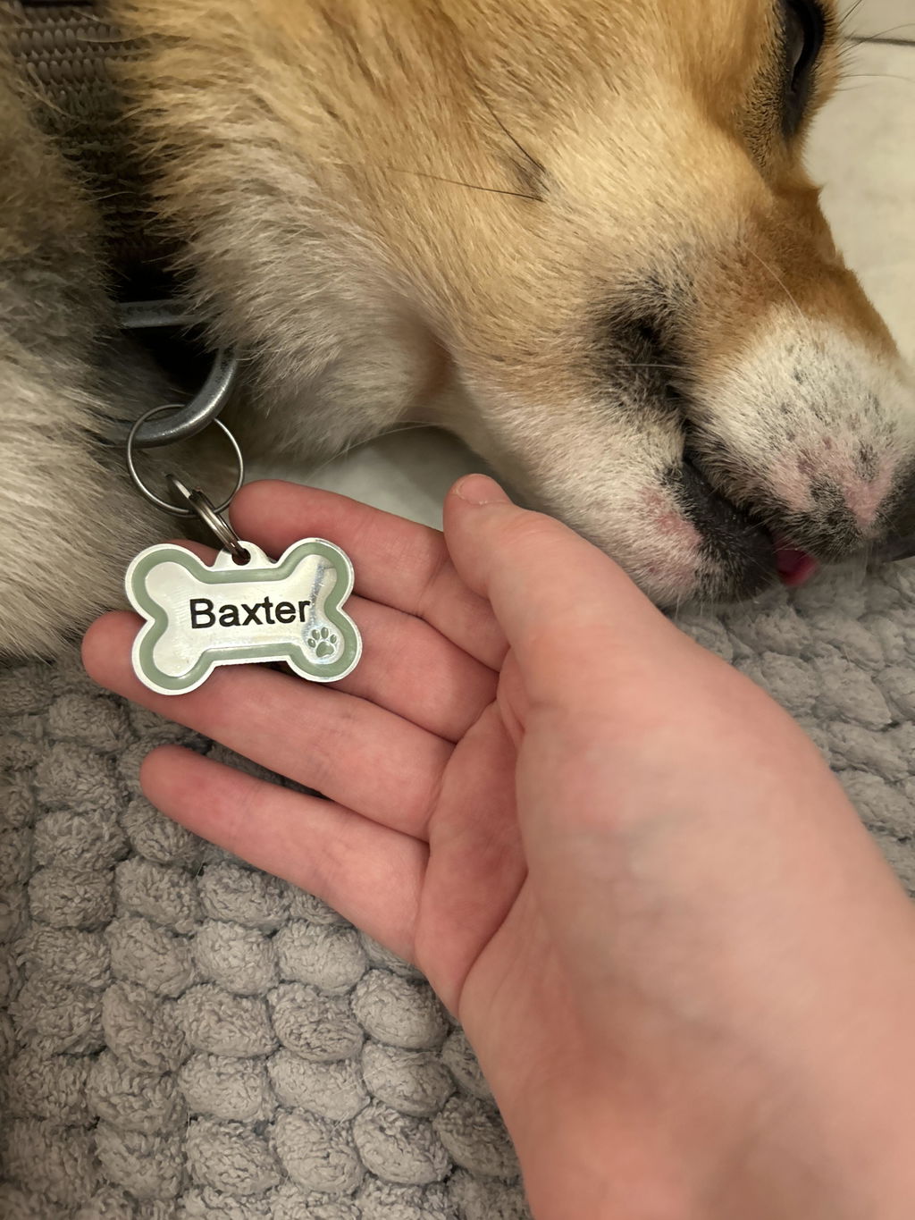 Beautiful tag