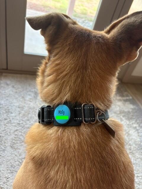 Finally, an AirTag holder that lasts