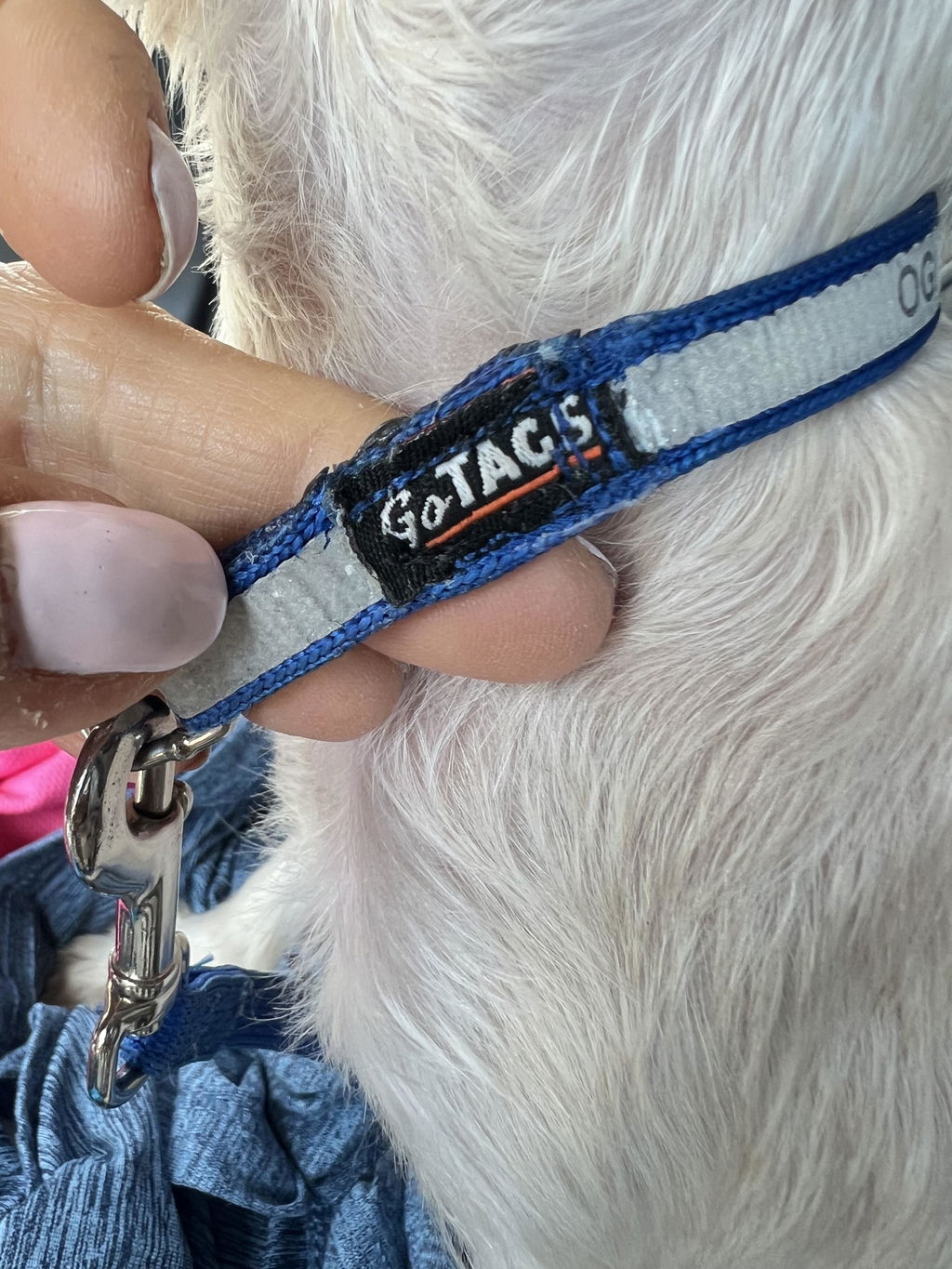 Perfect collar