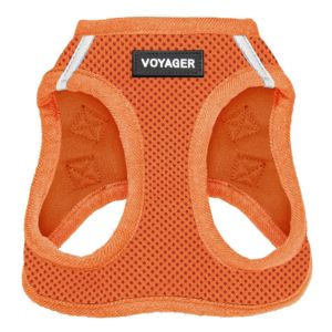 voyager-step-in-mesh-harness-leash-set-for-cats image 2