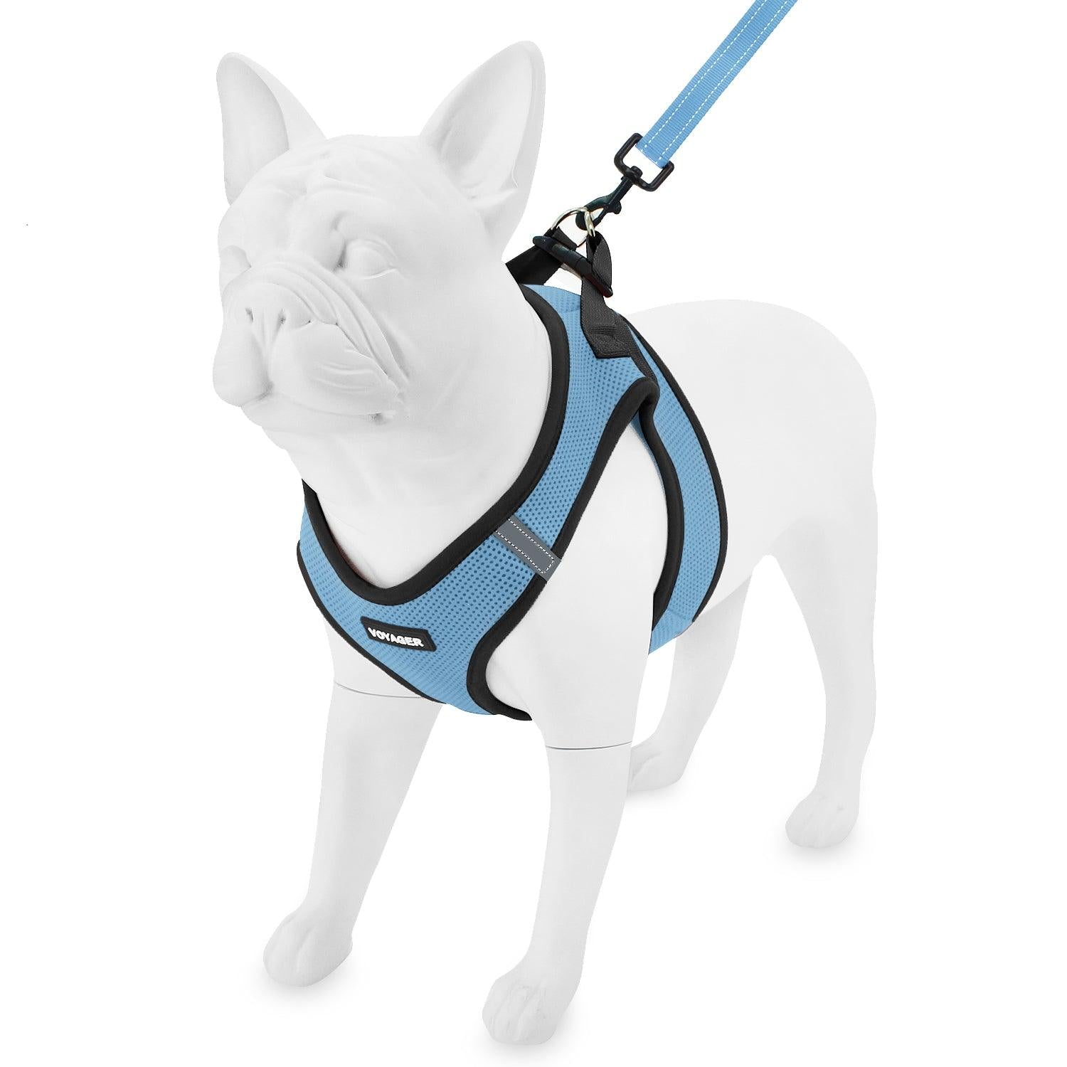 voyager-step-in-air-harness-leash-set-lightweight-mesh-with-premium-leash image 5